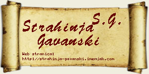Strahinja Gavanski vizit kartica